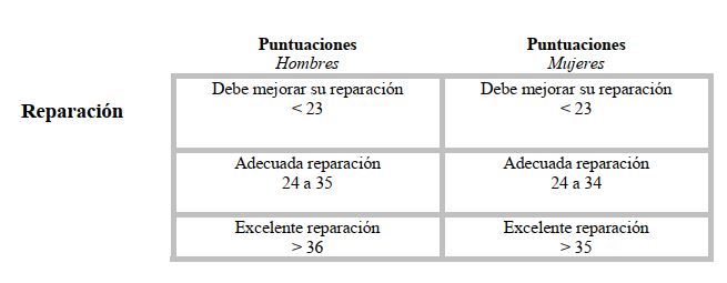 reparaión IE